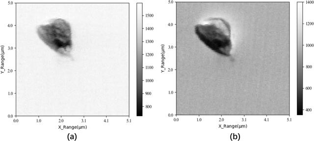 [Figure 6]