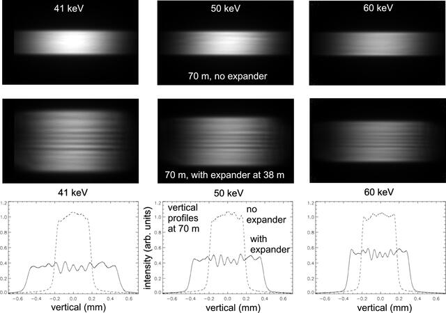 [Figure 11]