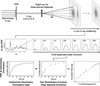 [Figure 1]