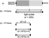 [Figure 2]