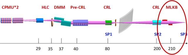 [Figure 1]
