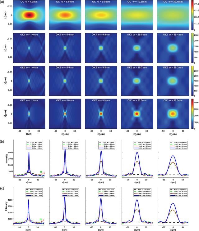 [Figure 4]