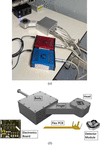 [Figure 4]