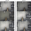 [Figure 1]