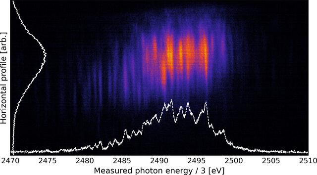 [Figure 5]