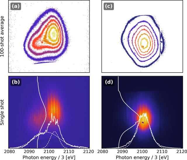 [Figure 6]