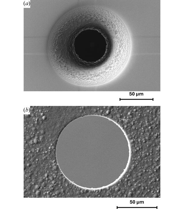 [Figure 3]