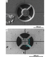 [Figure 4]