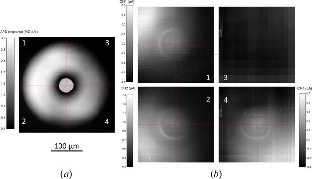 [Figure 6]