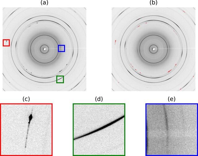 [Figure 1]