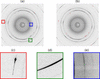 [Figure 1]