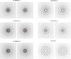 [Figure 2]