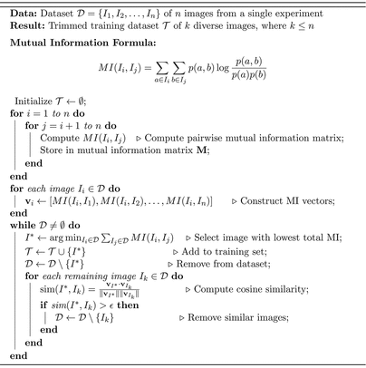[Scheme 2]