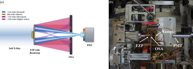 [Figure 5]