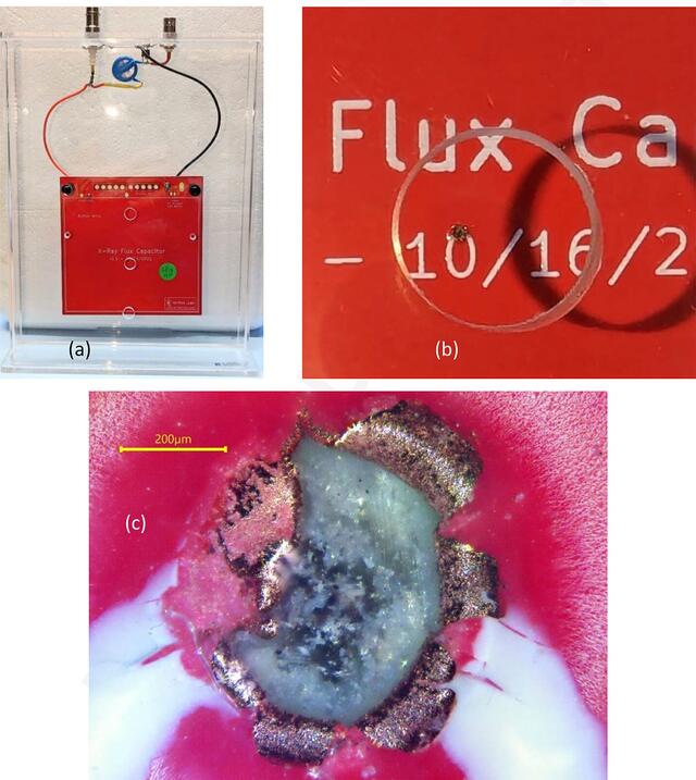 [Figure 8]