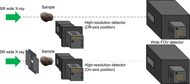 [Figure 3]