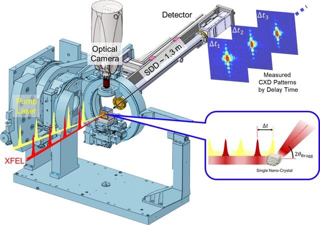 [Figure 1]