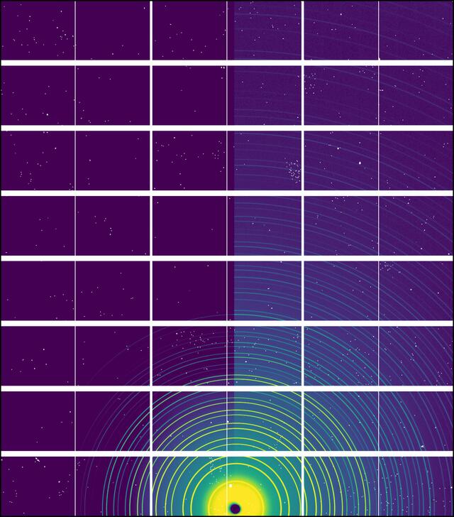 [Figure 4]
