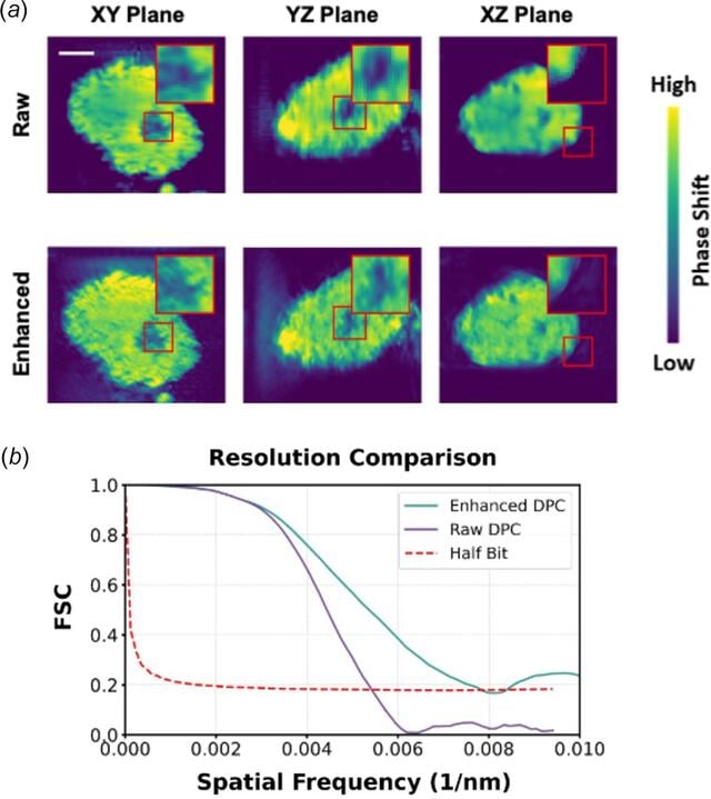 [Figure 5]