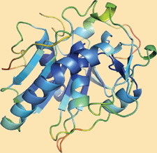 Highlighted illustration