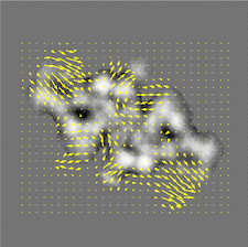 Highlighted illustration