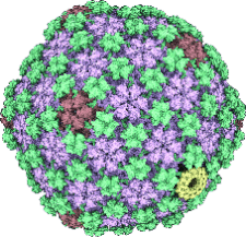Highlighted illustration