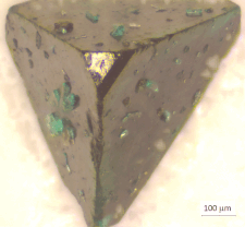 Highlighted illustration